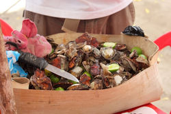Freah Oysters on the beach, Punta Rocia.