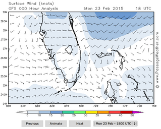 Weather Window