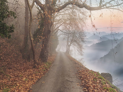 EN EL CAMINO ESTRECHO 