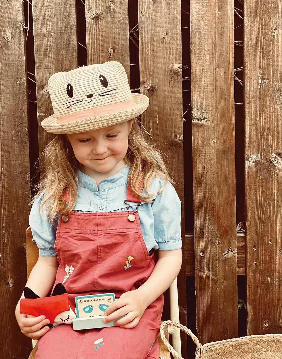 Thumbnail: Tender Leaf Toys Play Pay Pack