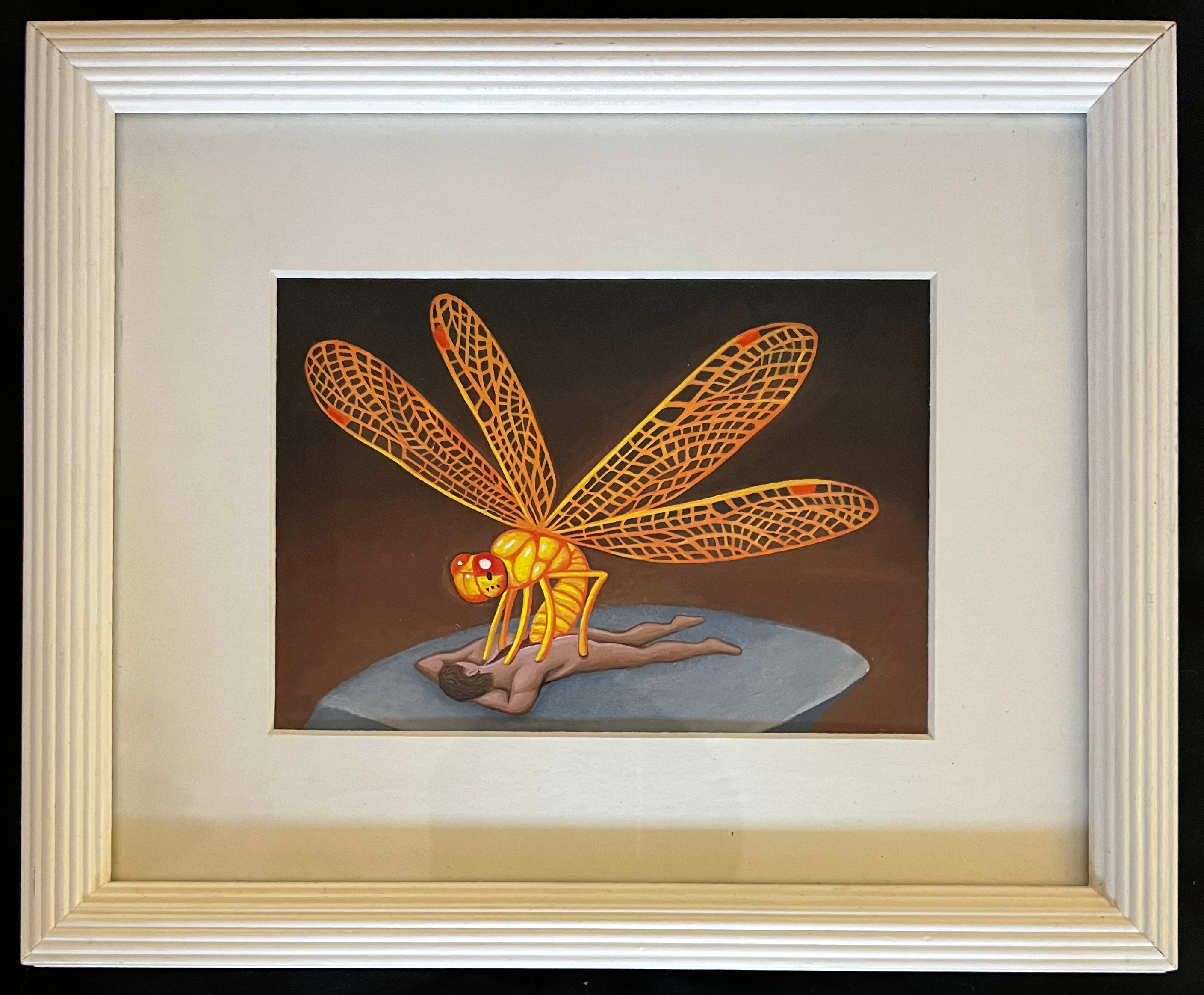 Metamorfosis de Libelula 