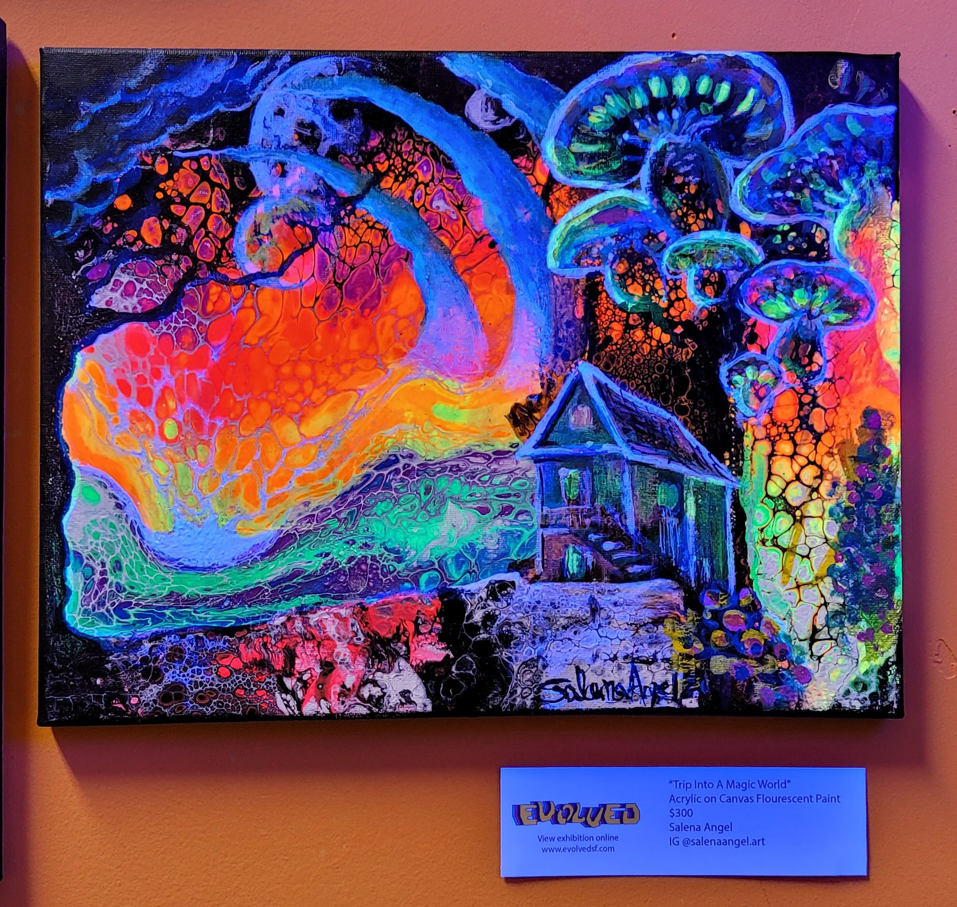 Trip Into A Magic World by Salena Angel