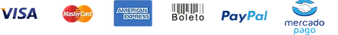 Logos de formas de Pagamento aceitos
