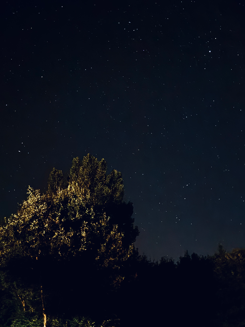 Tag 10: Ein verschlafener Start und ein entspannter Tag