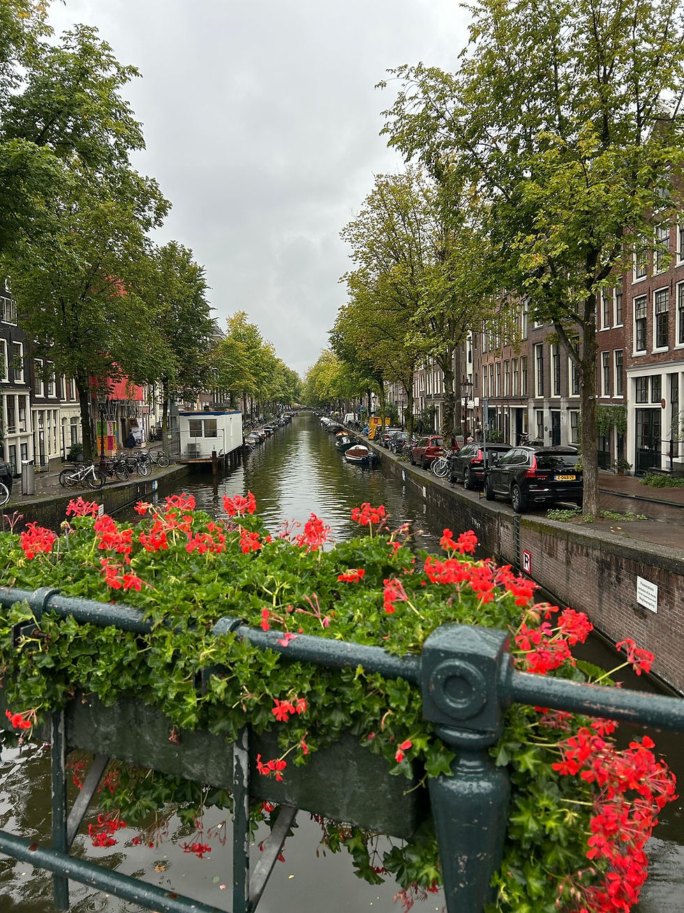 Day 5: Chips, rain & Doppelkopf – A day in Amsterdam