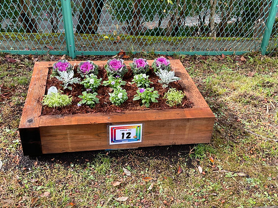 みちばた花壇12