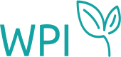 Welsh psychotherapy institute logo