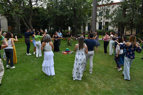 DSC_0236.jpg