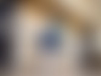 Mestre de Taekwondo de PG participa de capacitação na Coreia do Sul