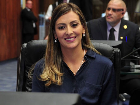 MABEL APRESENTA PROJETO DE LEI PARA HUMANIZAR CASTRAÇÃO DE CÃES E GATOS NO PR