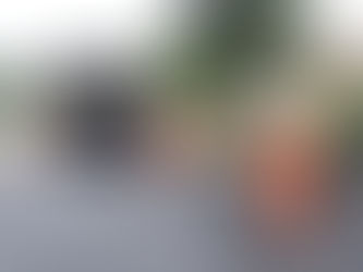 Prefeita Elizabeth Schmidt anuncia R$ 95 milhões para pavimentação em mais sete vilas de PG