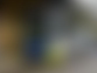 🚎 Ponta Grossa terá até 30 novos ônibus pelo novo PAC