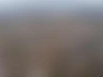 Prefeitura de Pg agiliza alvarás e intensifica fiscalização sobre obras irregulares