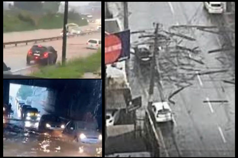 Imagens podem ter direitos autorais 