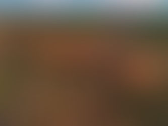 1º Encontro de Destinos Turísticos Inteligentes dos Campos Gerais!