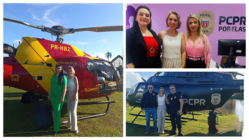 ✨ Início de novembro marcado por ações e compromissos sociais para Sheila de Geus ✨