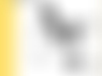 AGencievent: Conectando sua marca ao público certo! 🎯