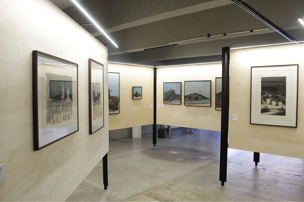 Exposição de Calderari segue
até novembro no Museu Satélite