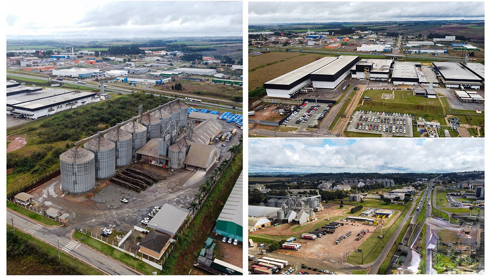 Ponta Grossa lidera exportações no Paraná e se destaca entre os principais polos exportadores do Brasil