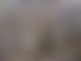 Ponta Grossa amplia número de atividades de baixo risco dispensadas de alvarás e licenças municipais