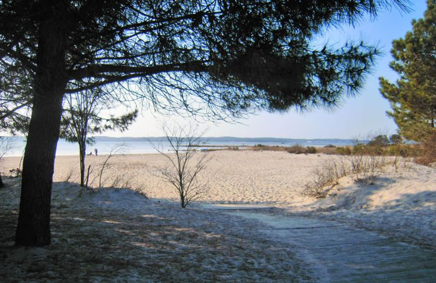 plage-sur-lac.jpg