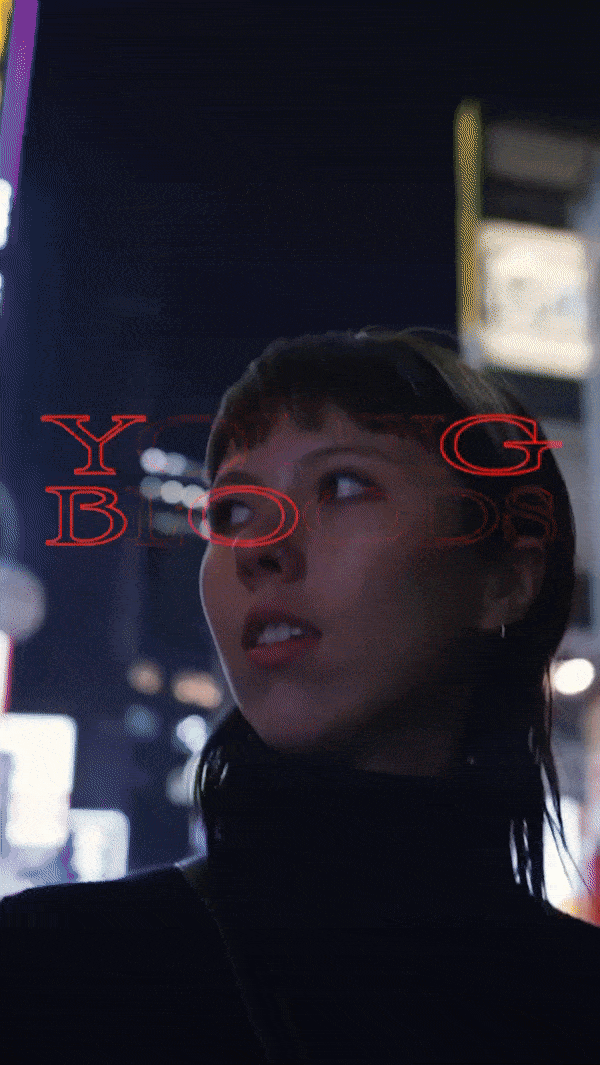Vin Project 12.gif
