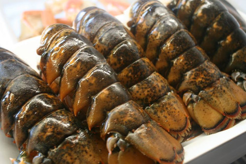 5/6 oz Maine Lobster Tail (PLACE ORDER) | Hilltop Seafood Site