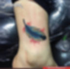 Pluma