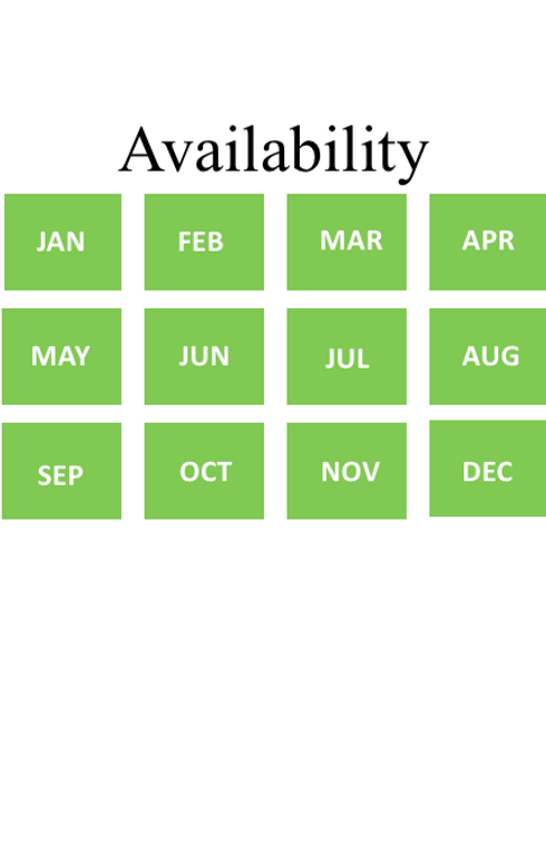 Screen Shot 2018-04-09 at 8.48.19 AM.png