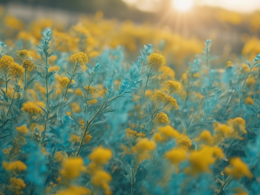 Transform Your Life with BloomCC's Expert Coaching