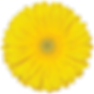 Panama