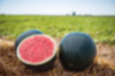 Black Watermelon