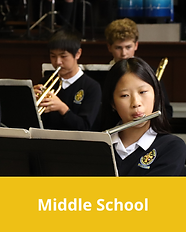 Website Cover Photos (2).png