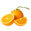 Citrus.png