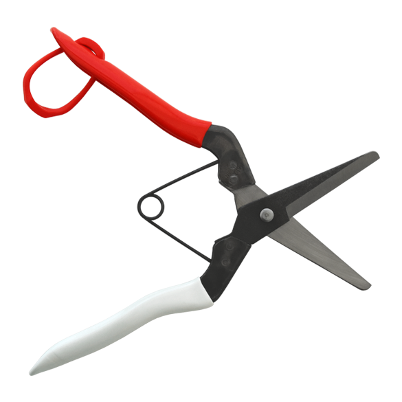 Miniatura: OKATSUNE 306