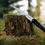 Thumbnail: ALPEN 6195