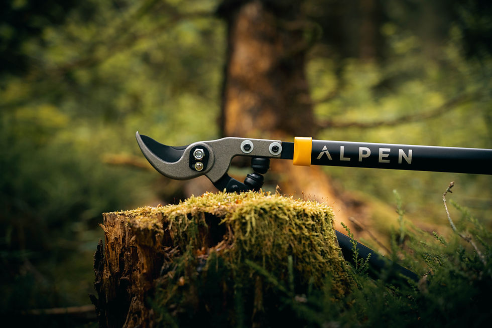 ALPEN 200