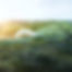 NMWE launches pilot to test biodiversity framework at source level