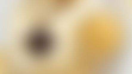 Millet: The millennia-old grain of the future