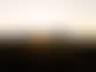 The Rainforest Alliance introduces regenerative agriculture certification for coffee