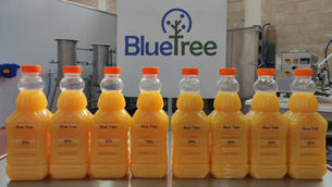 Blue Tree raises $2.26m to expand sugar-reduction tech for beverage products