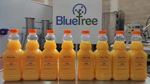 Blue Tree raises $2.26m to expand sugar-reduction tech for beverage products