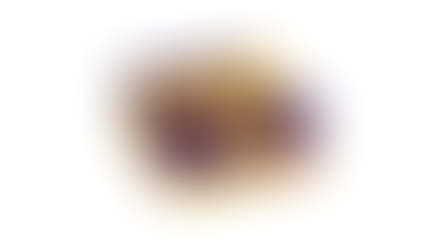 Premier Foods expands Cadbury cake range with new variant