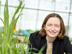 Moa partners with Gowan to advance herbicidal amplifier technology