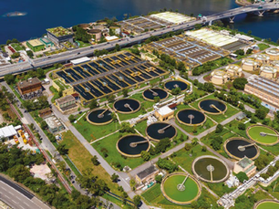 Bioaugmentation: Unlocking clean water goals