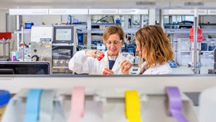 Lesaffre secures majority stake in Biorigin to strengthen its savoury ingredient solutions