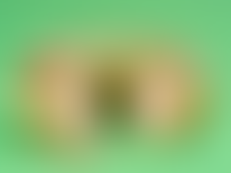 Krispy Kreme launches matcha doughnut and latte range with Perfect Ted