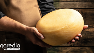 Promilk Xpress : The new cheesemaker’s ally