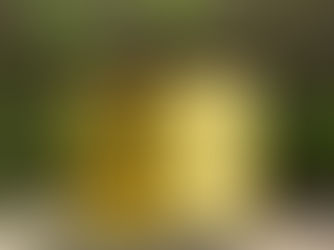 Start-up spotlight: Terra Oleo