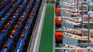 Terrantic closes $3.5m seed round to enhance food supply chain efficiency